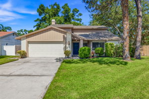 1 - 15710 W Pinto Pl, Tampa, FL 33624