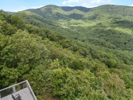  Photo 49