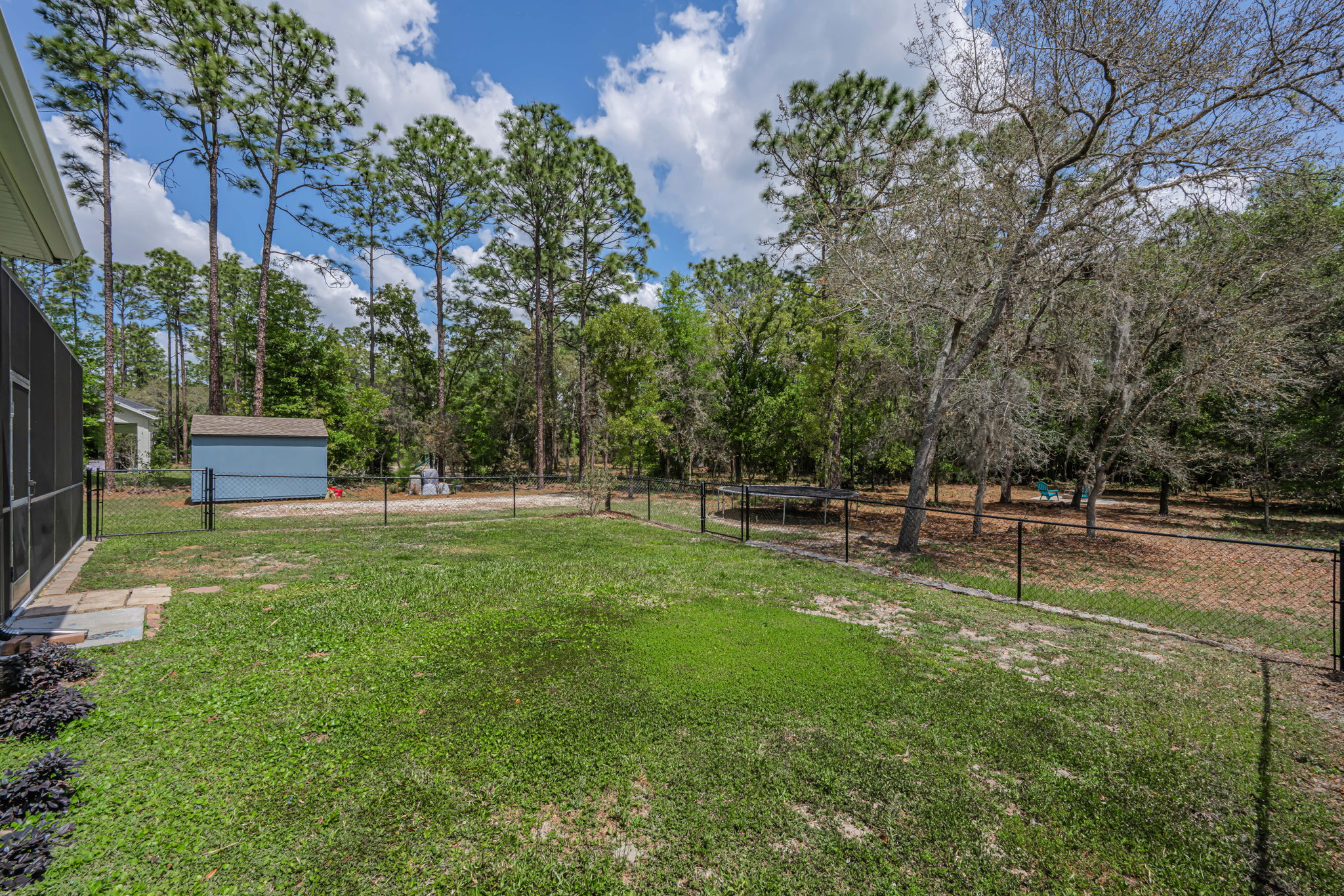 Backyard 1
