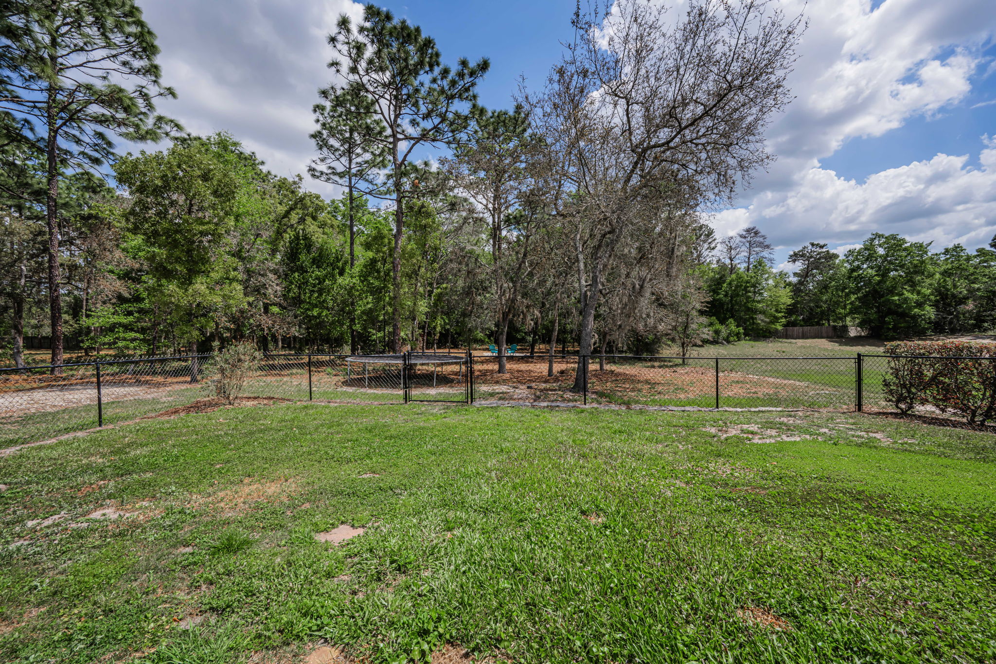 Backyard 2