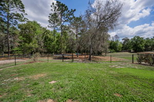 Backyard 2