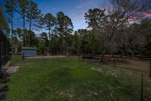 Backyard 1
