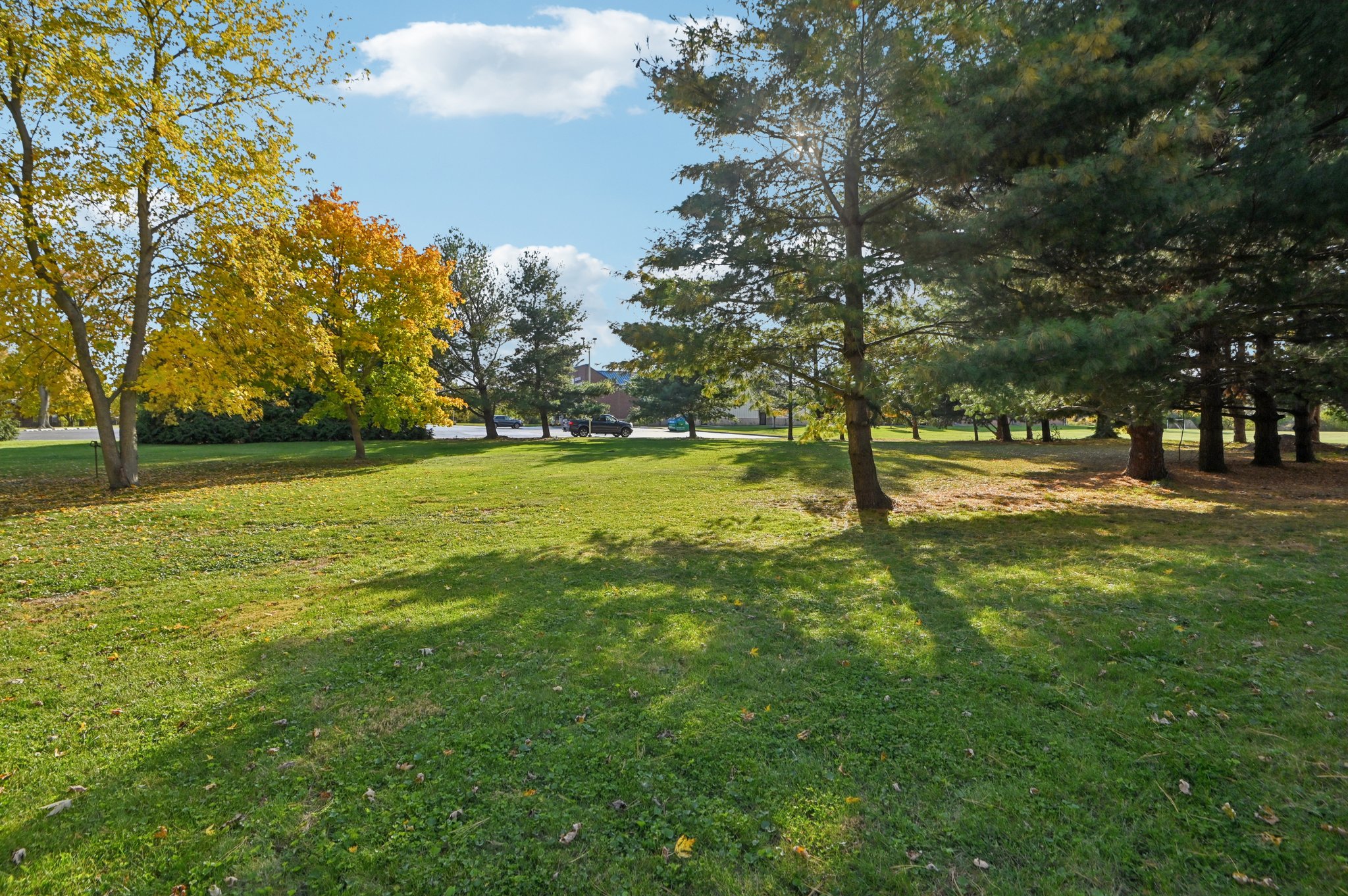 Benton St-S0511-069.jpg