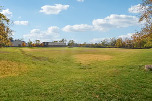 Benton St-S0511-073.jpg