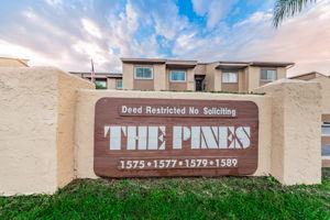 1-The Pines