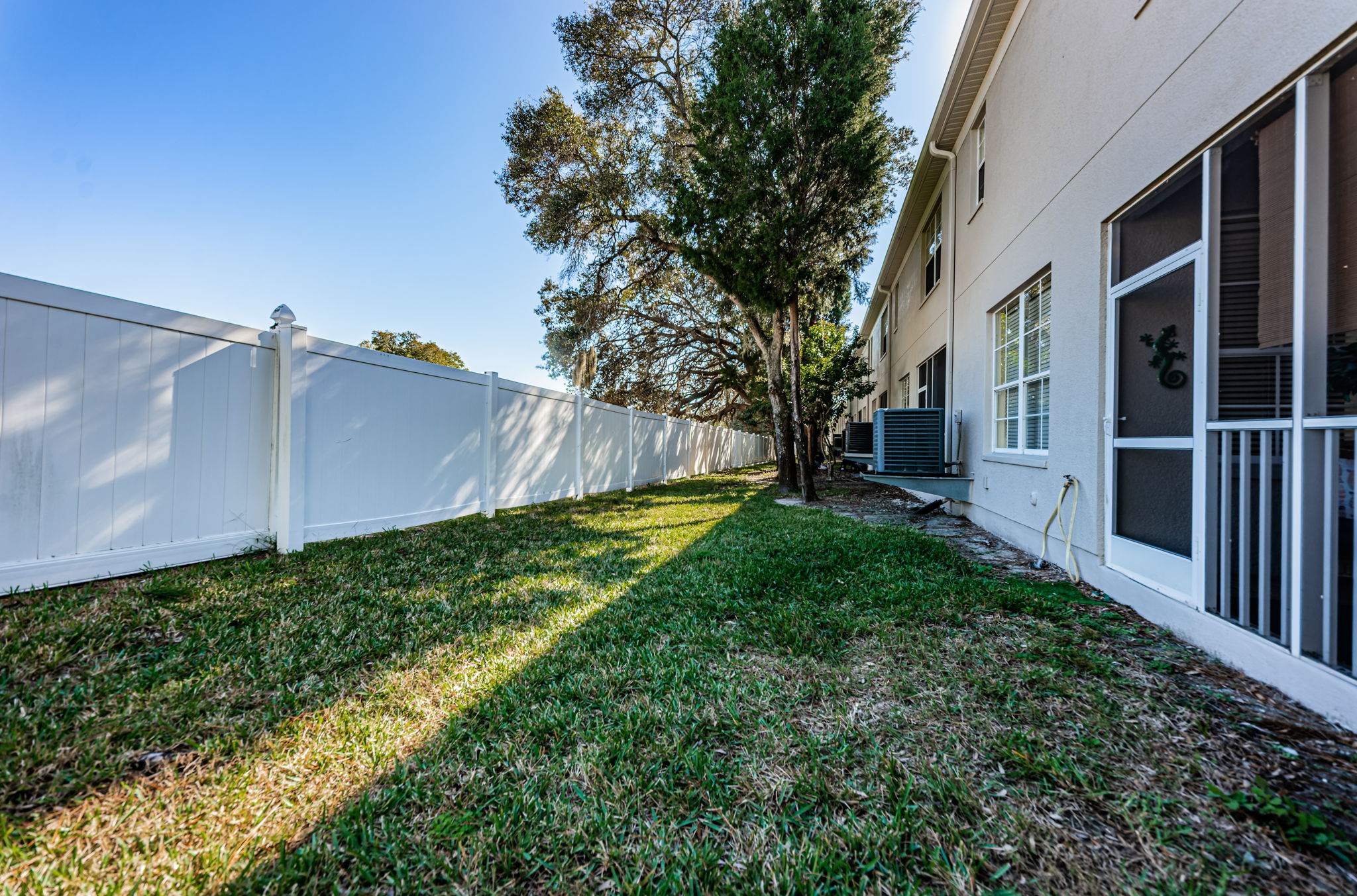 Backyard3
