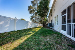 Backyard3