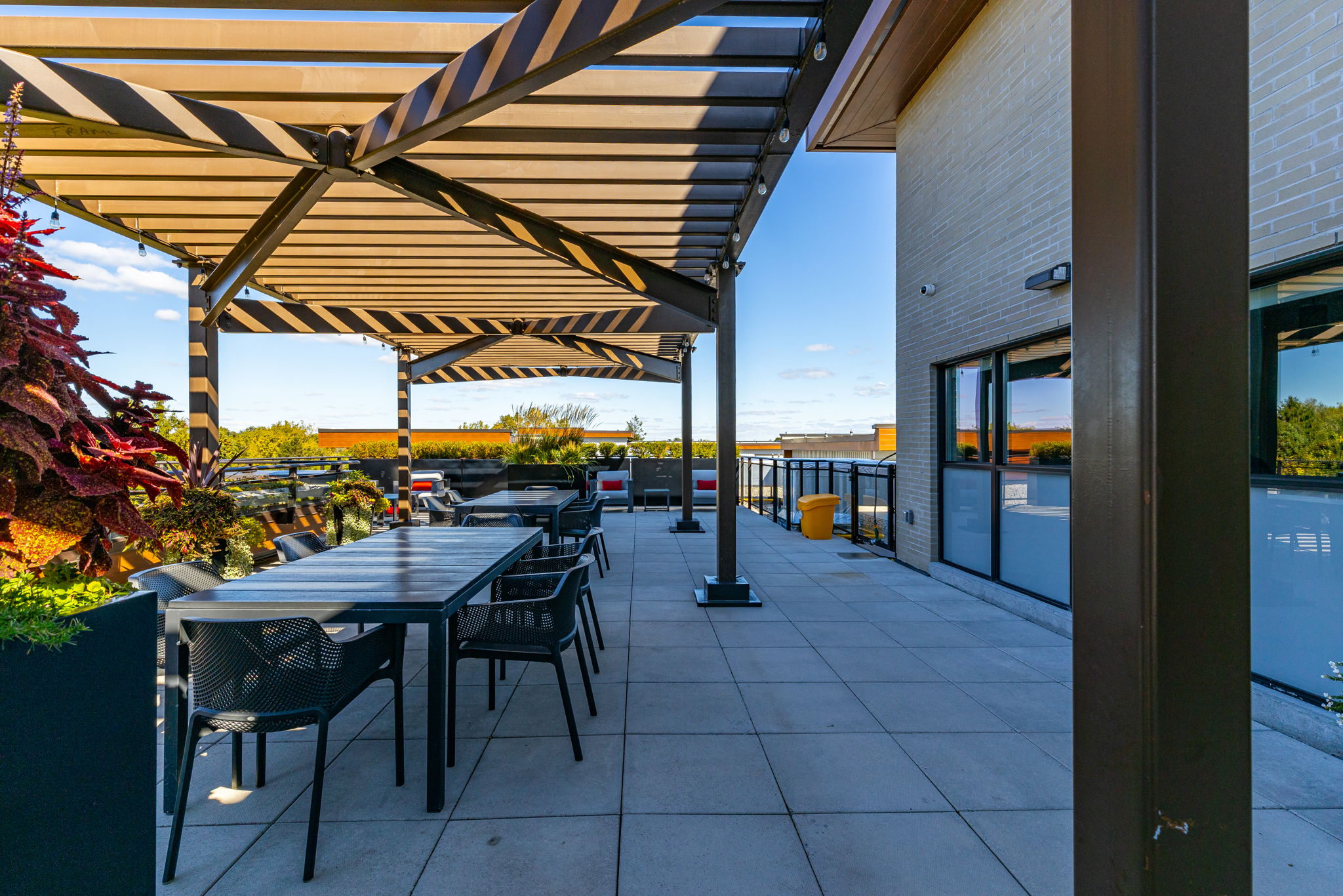 Building - Rooftop Terrace