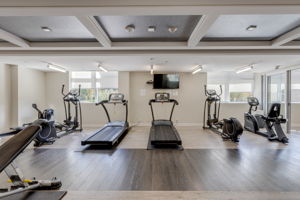 Gym Equipment