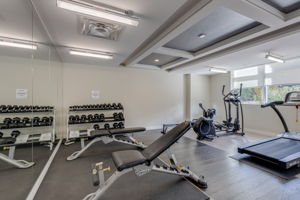 Gym Free Weights