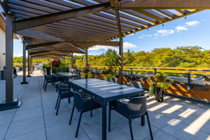 rooftop dining