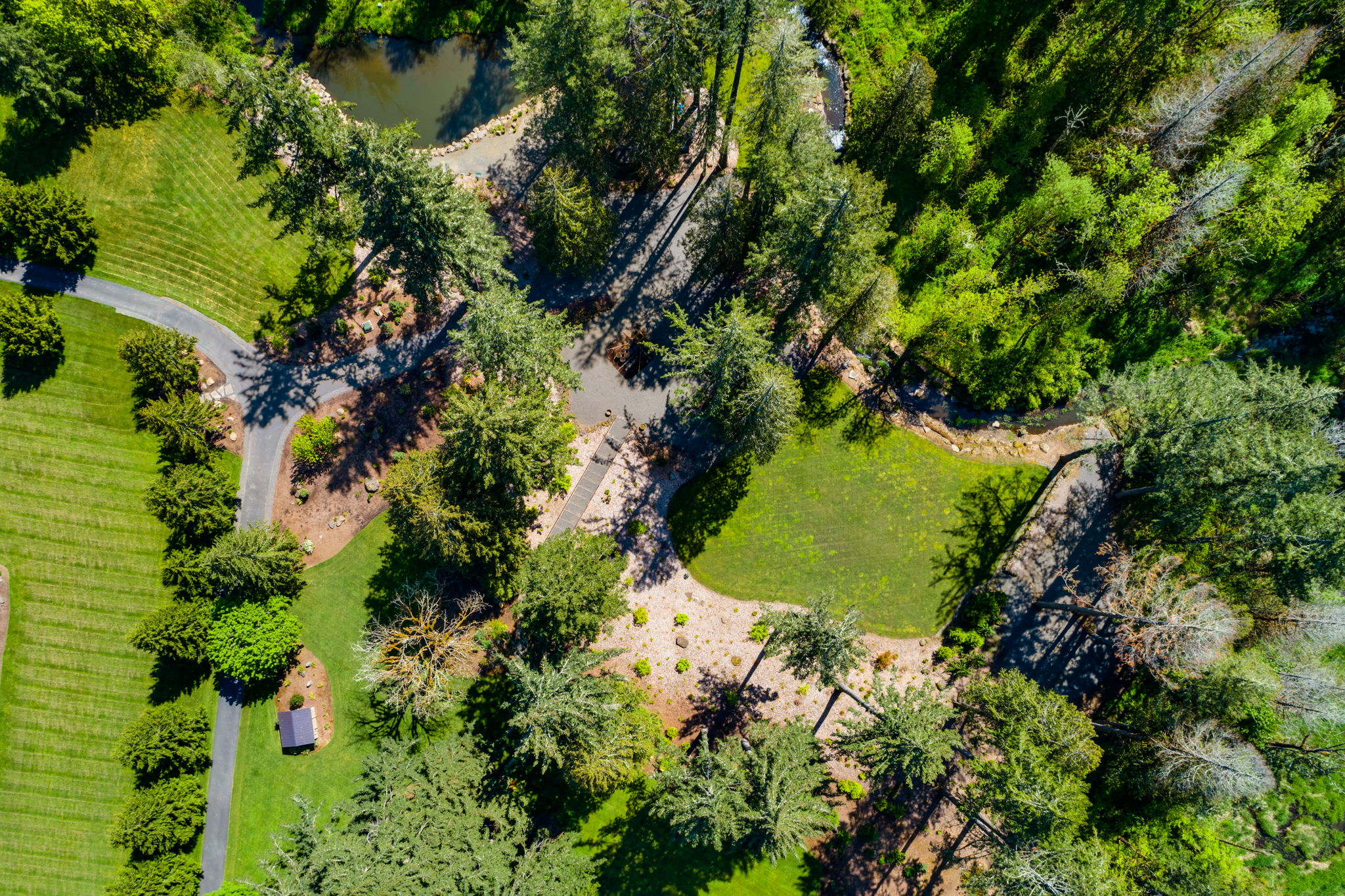 Drone overview of pond