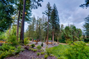 Entertainment meadow