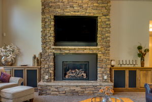 Living room fireplace