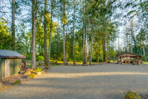 Entertainment meadow