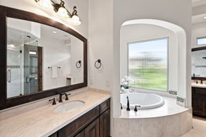 Primary Bathroom 2