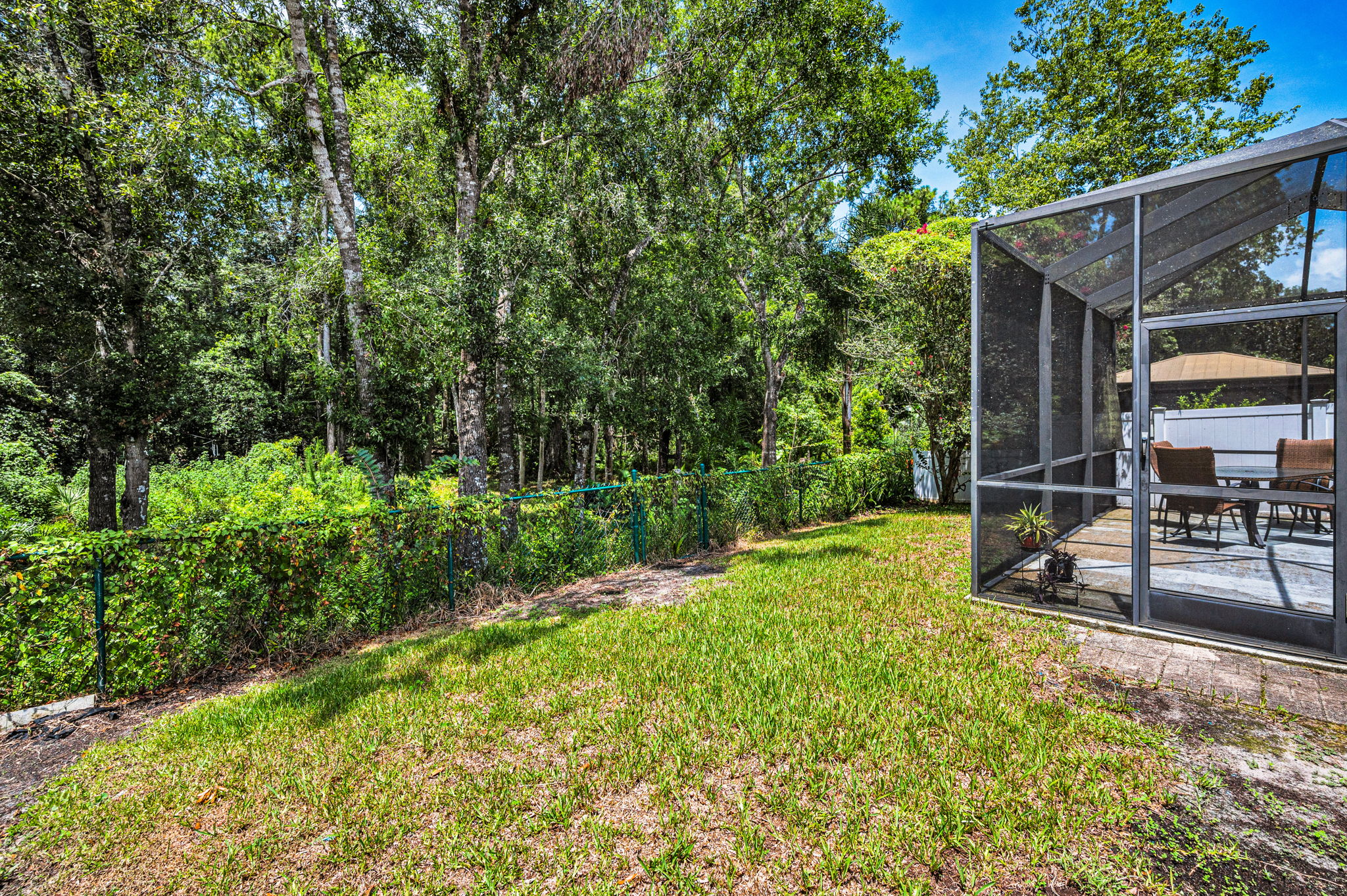 Backyard2