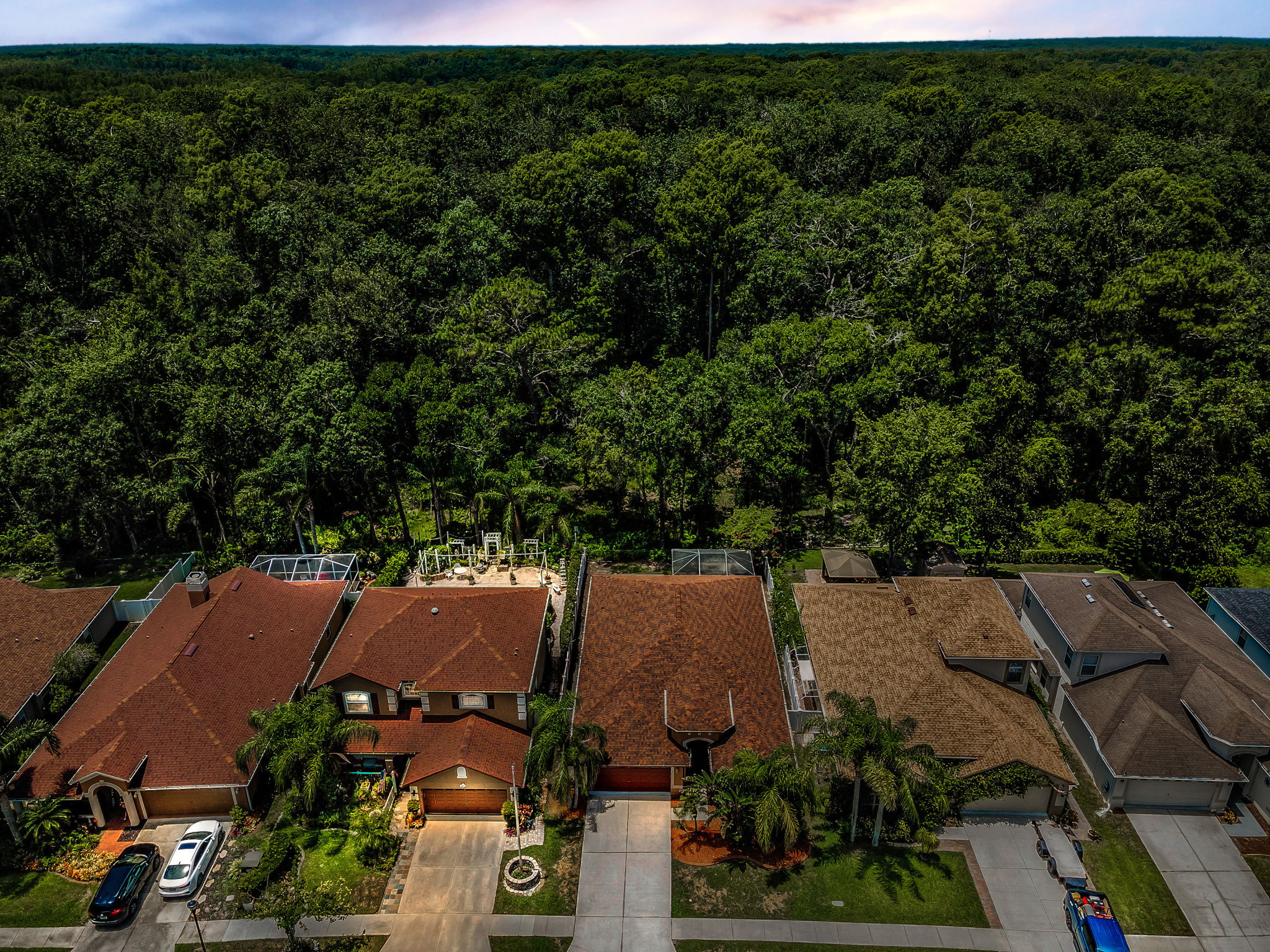 Aerial (20)