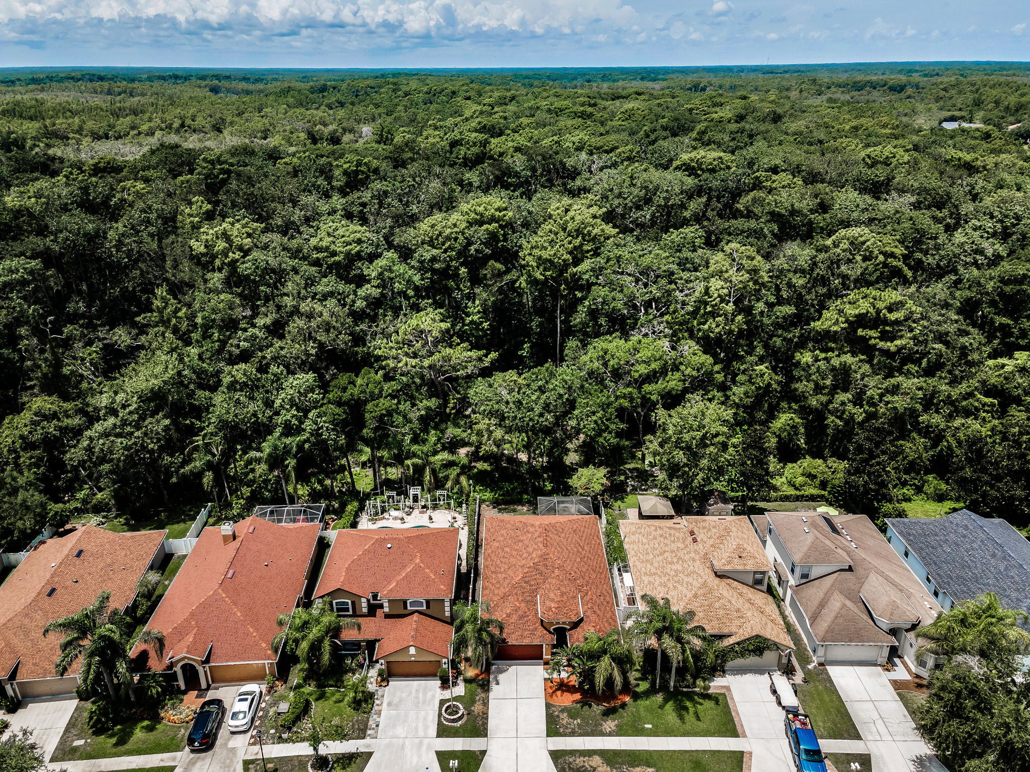 Aerial (1)
