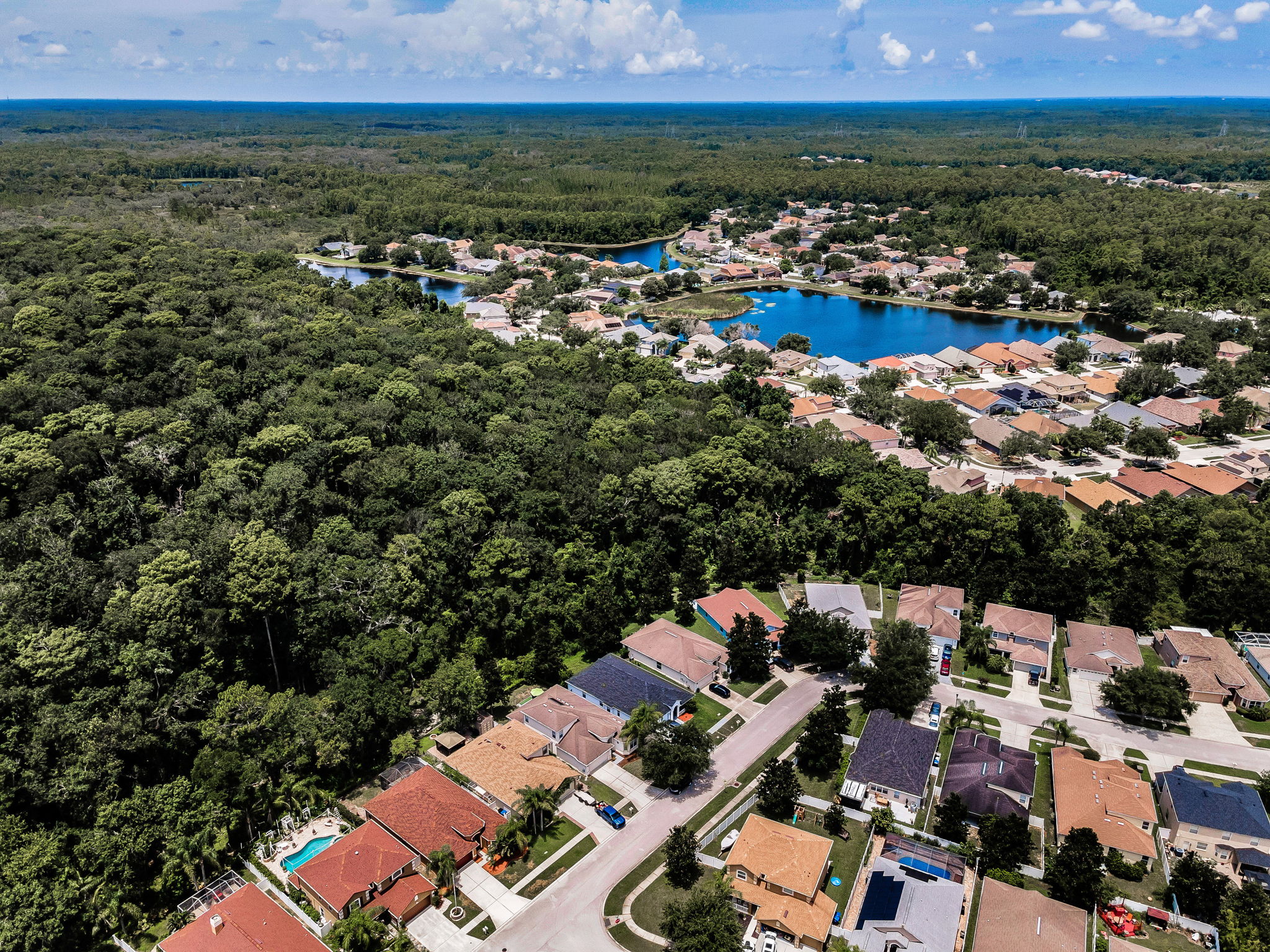 Aerial (6)