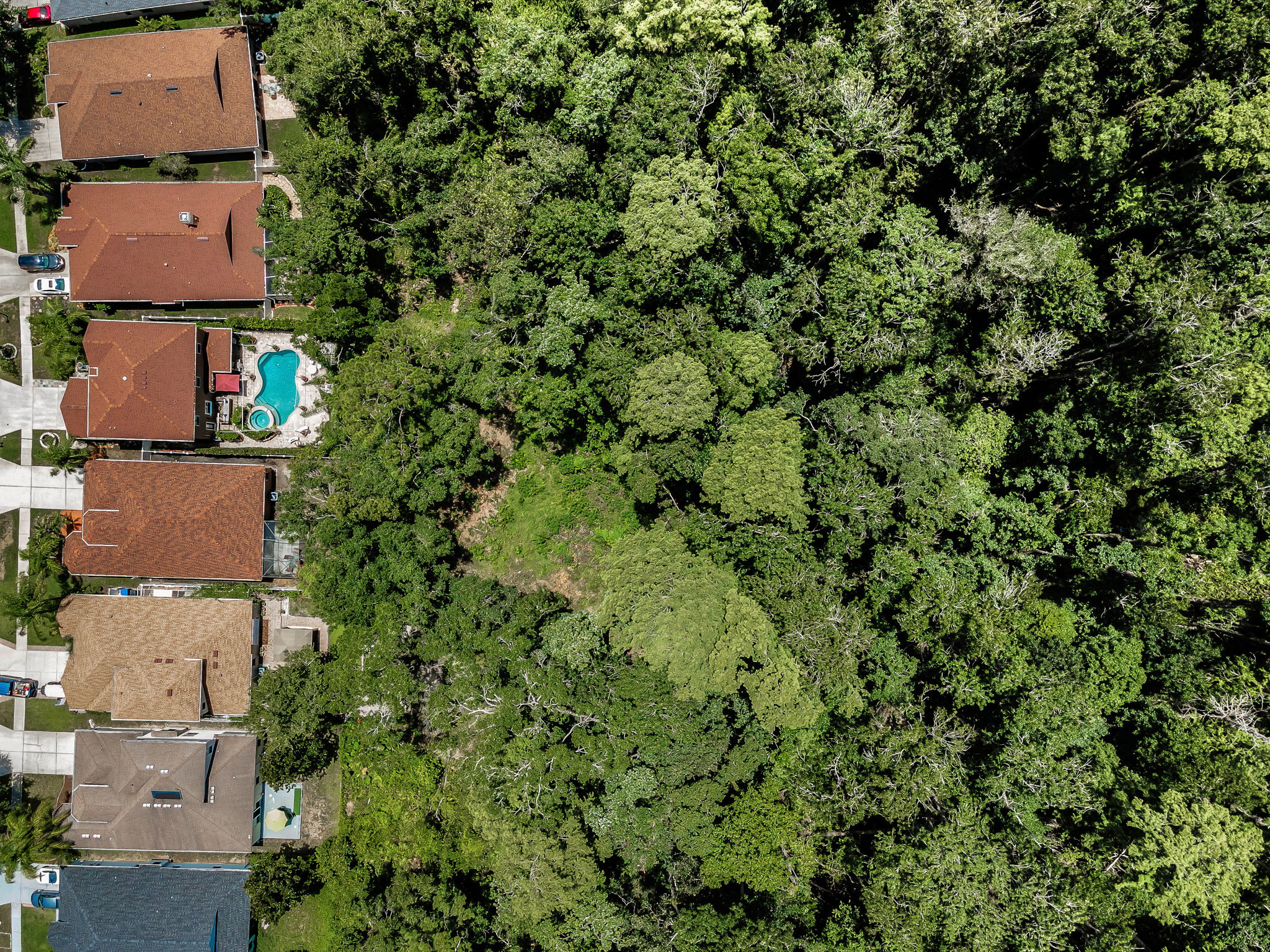 Aerial (8)