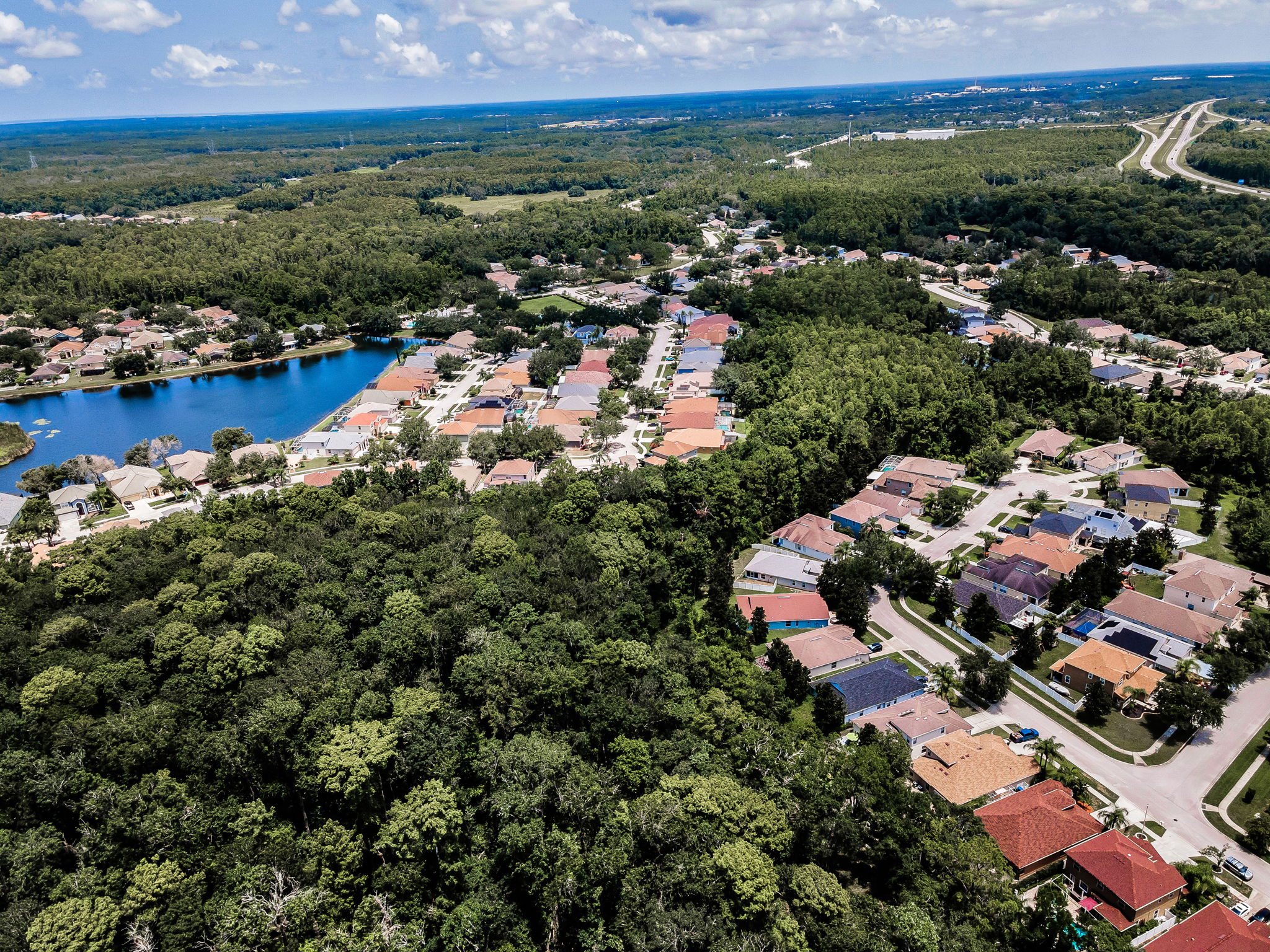 Aerial (13)