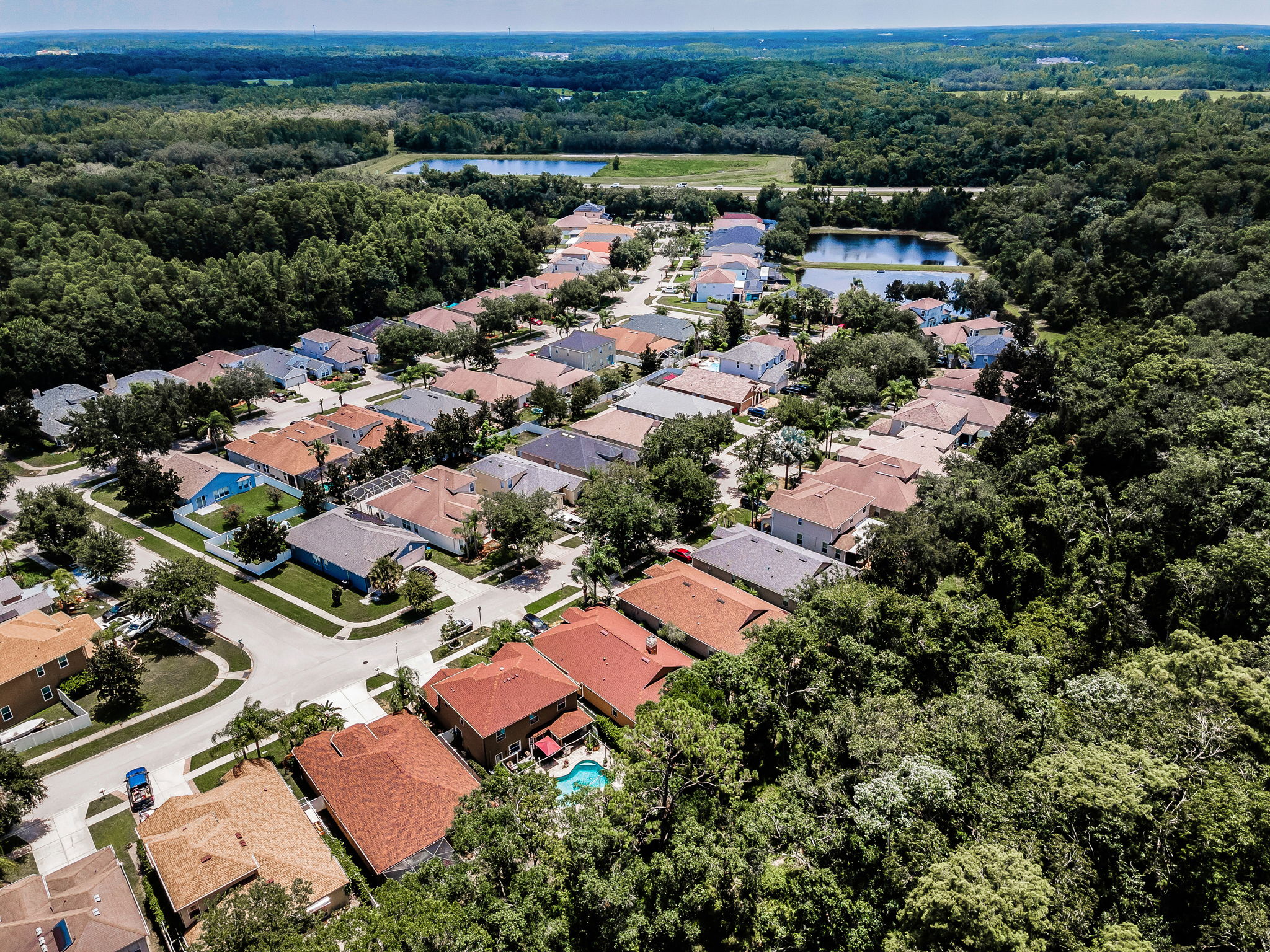 Aerial (17)