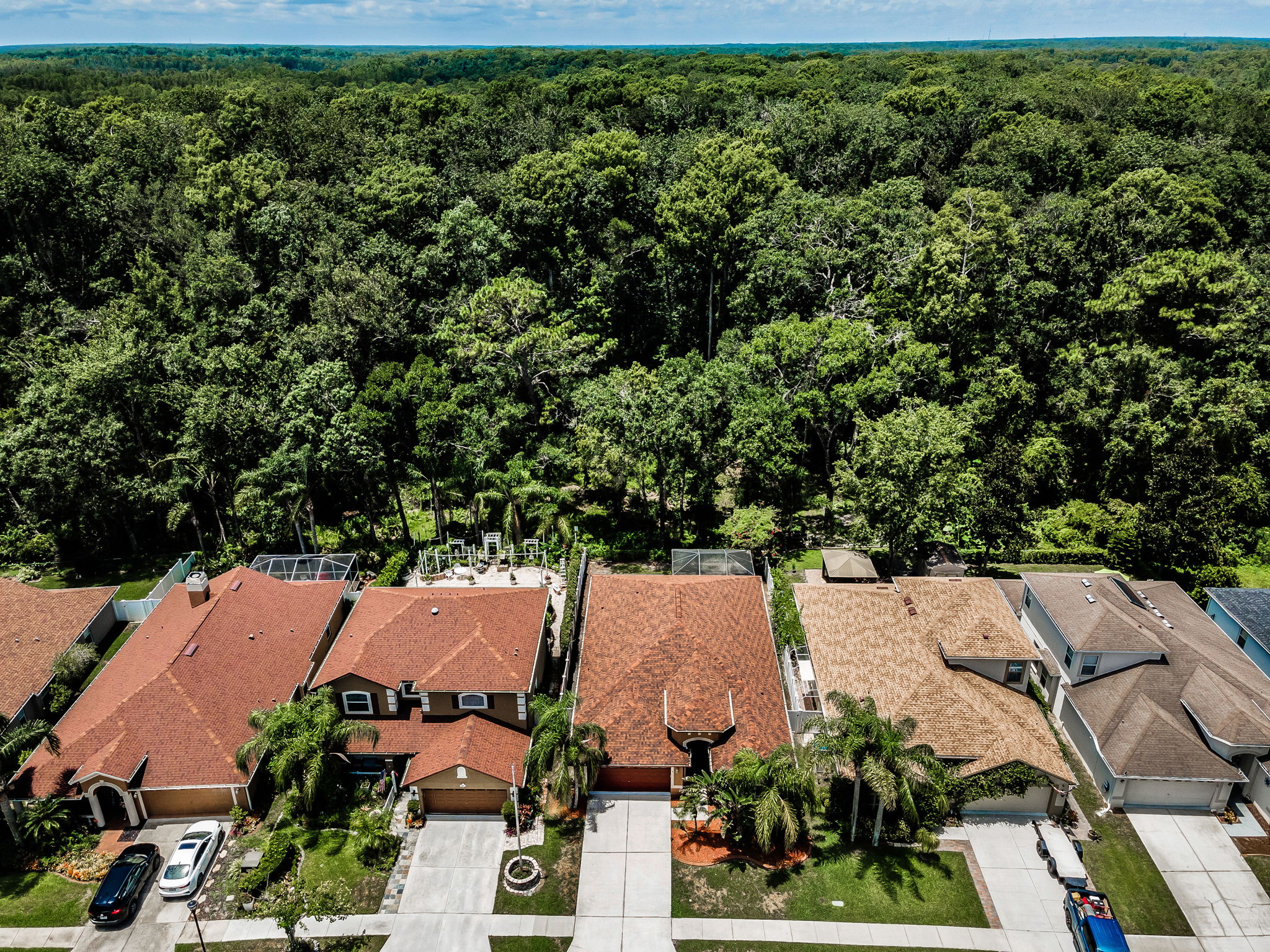 Aerial (20)