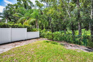 Backyard1