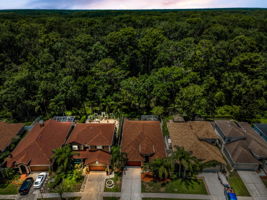 Aerial (20)
