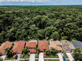 Aerial (1)
