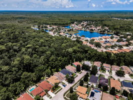 Aerial (6)