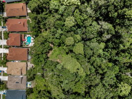 Aerial (8)
