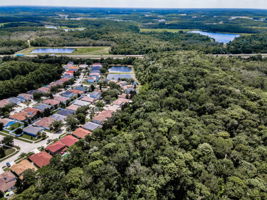 Aerial (10)