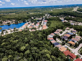 Aerial (13)