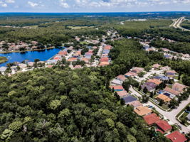Aerial (14)