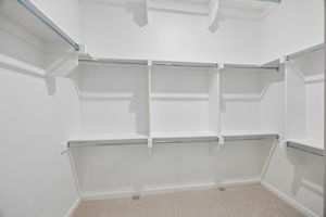 15795Shaded_013