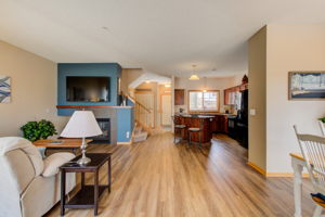 living room1