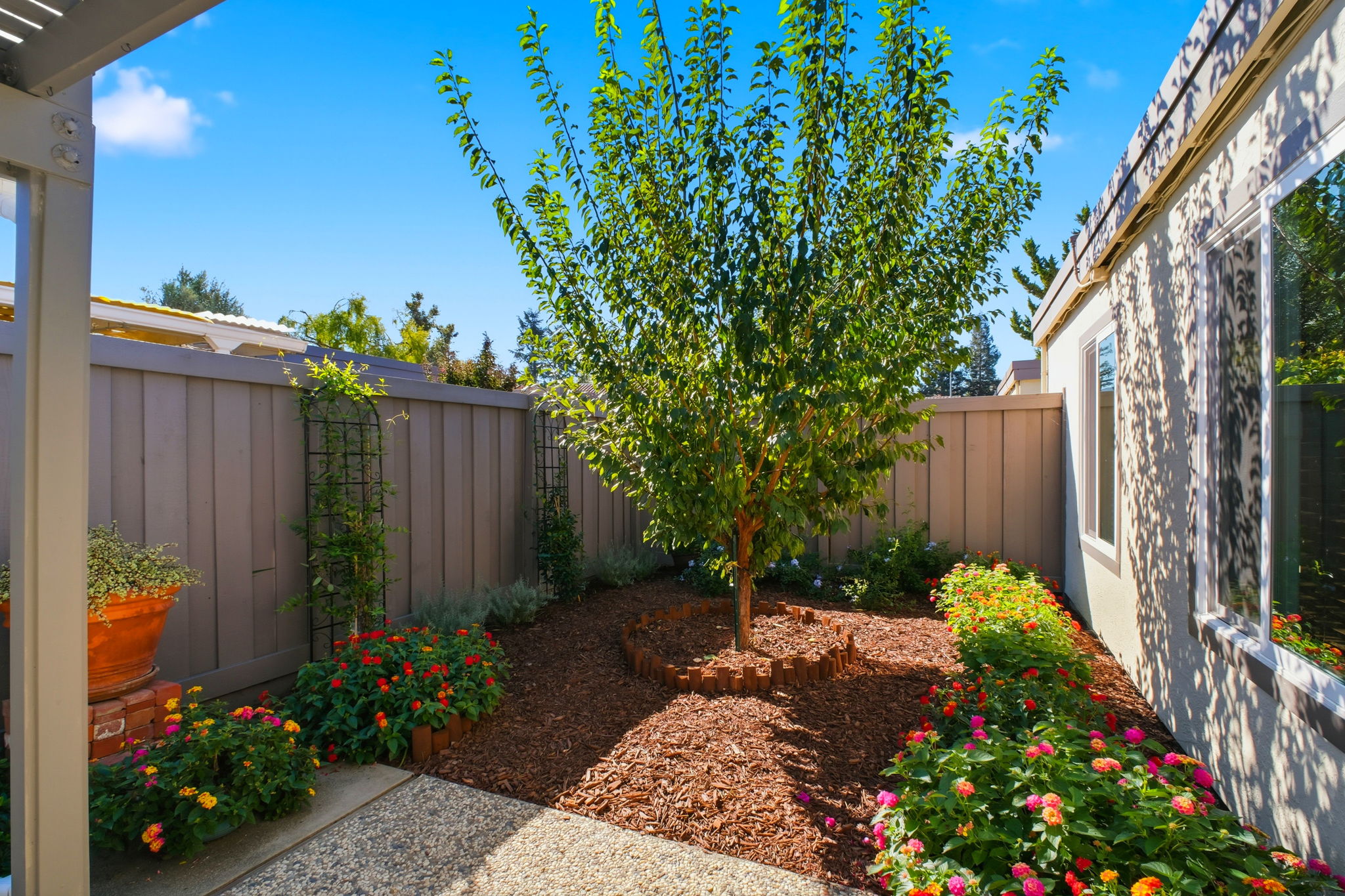 Beautiful Lush Landscapes!