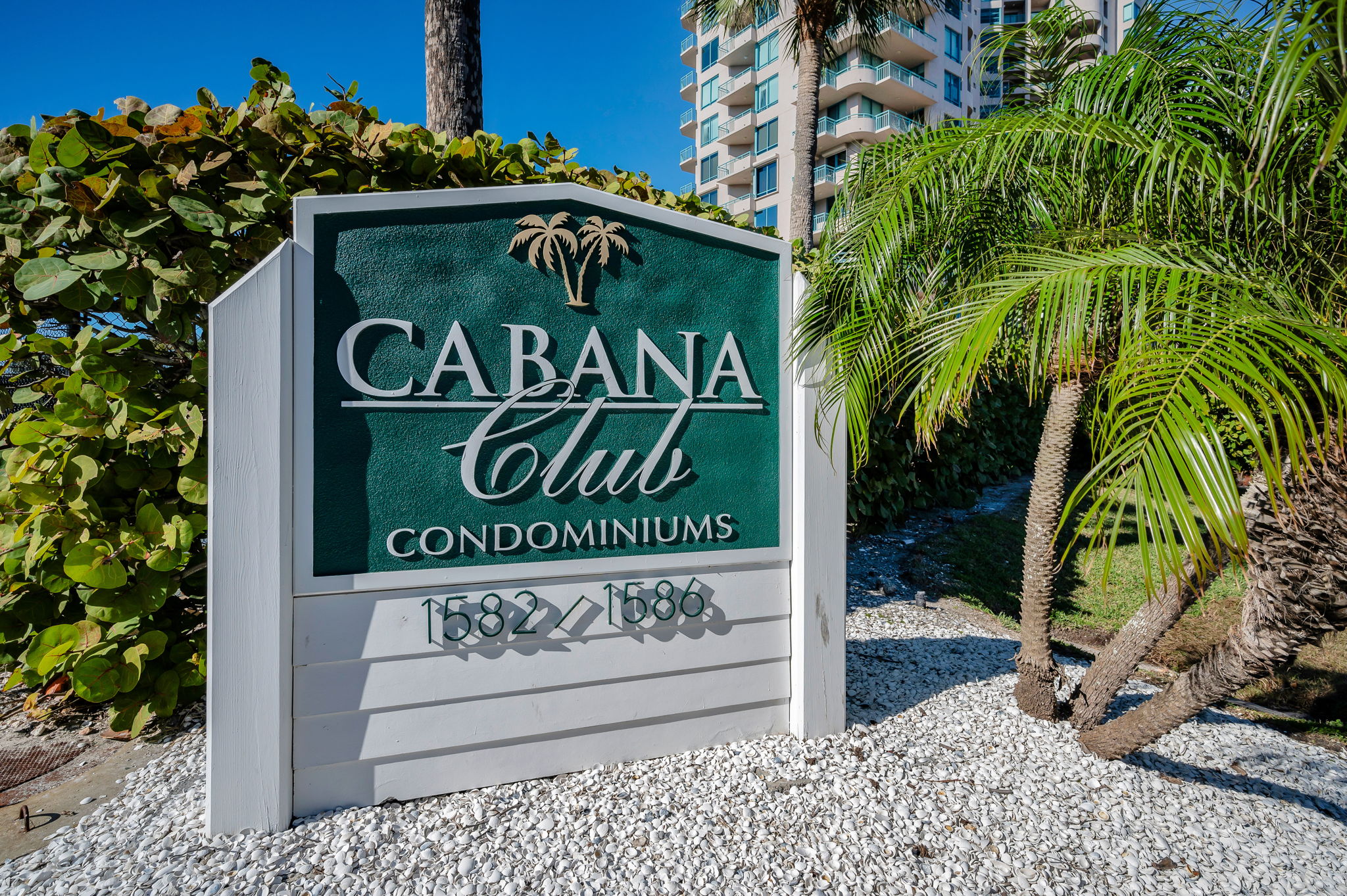 Cabana Club2
