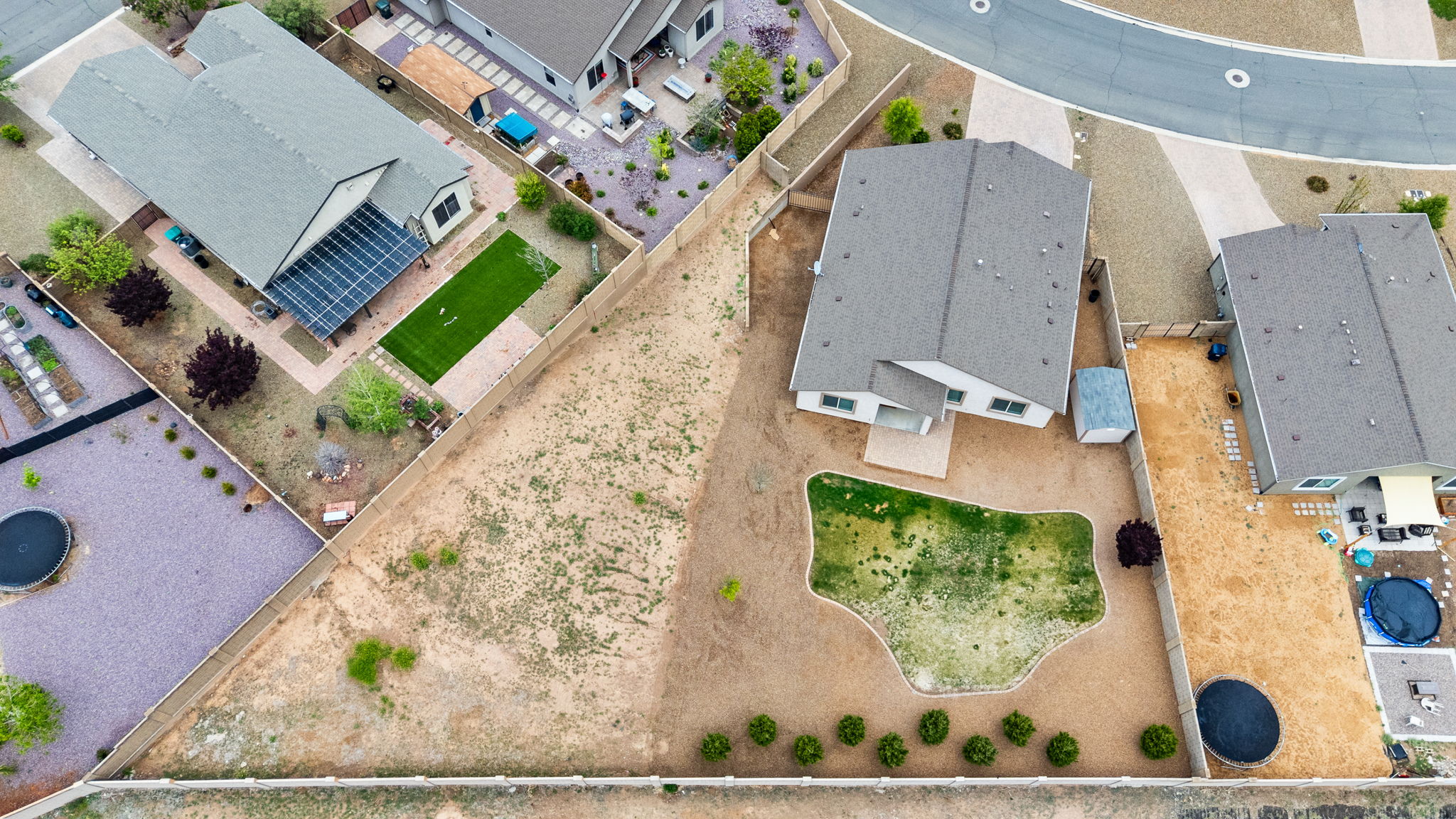 Birds Eye