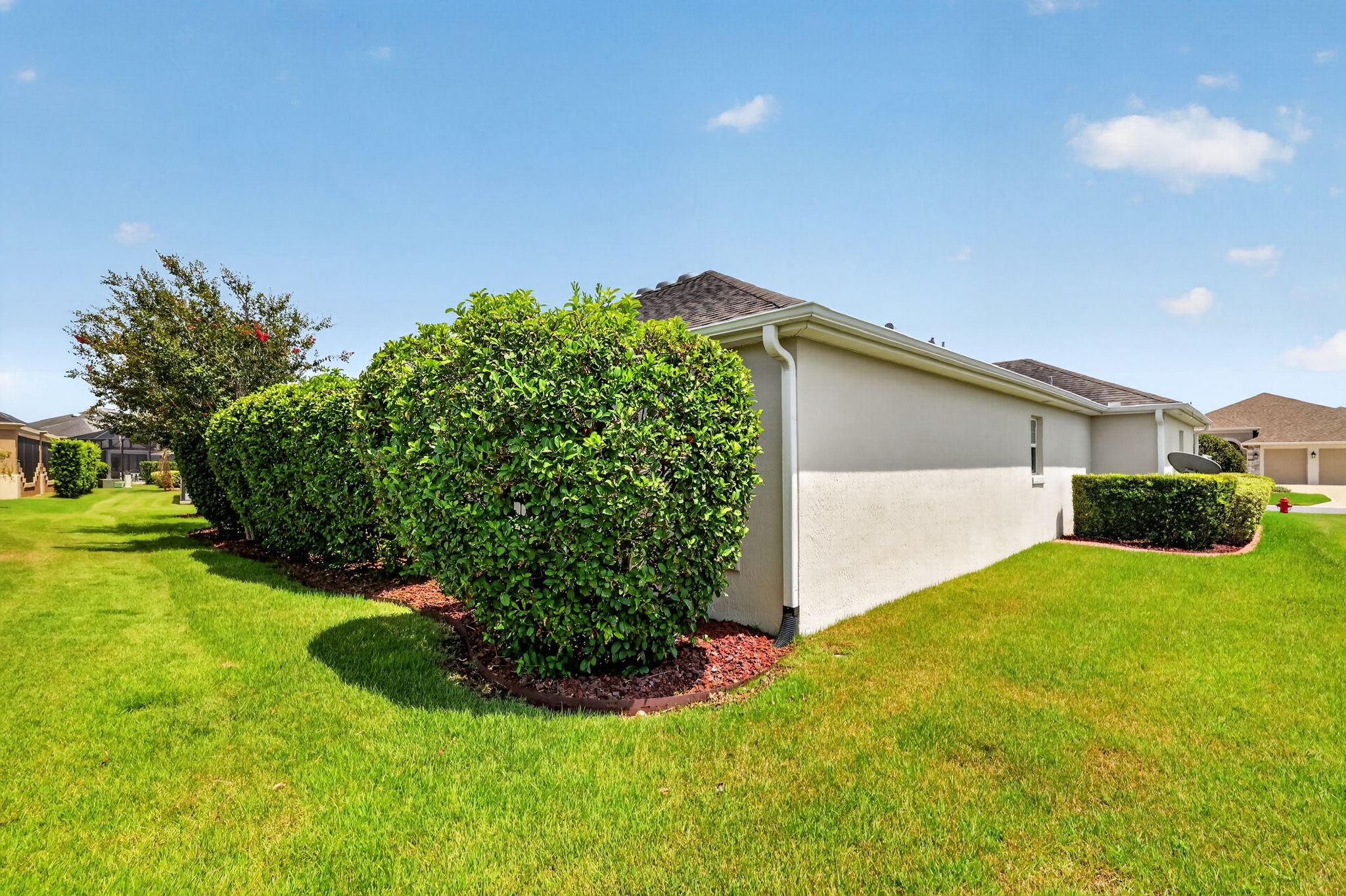 Rear and Side Elevation with PRIVACY Landscaping
