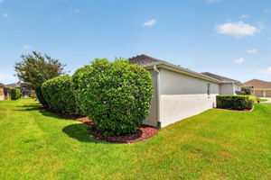 Rear and Side Elevation with PRIVACY Landscaping