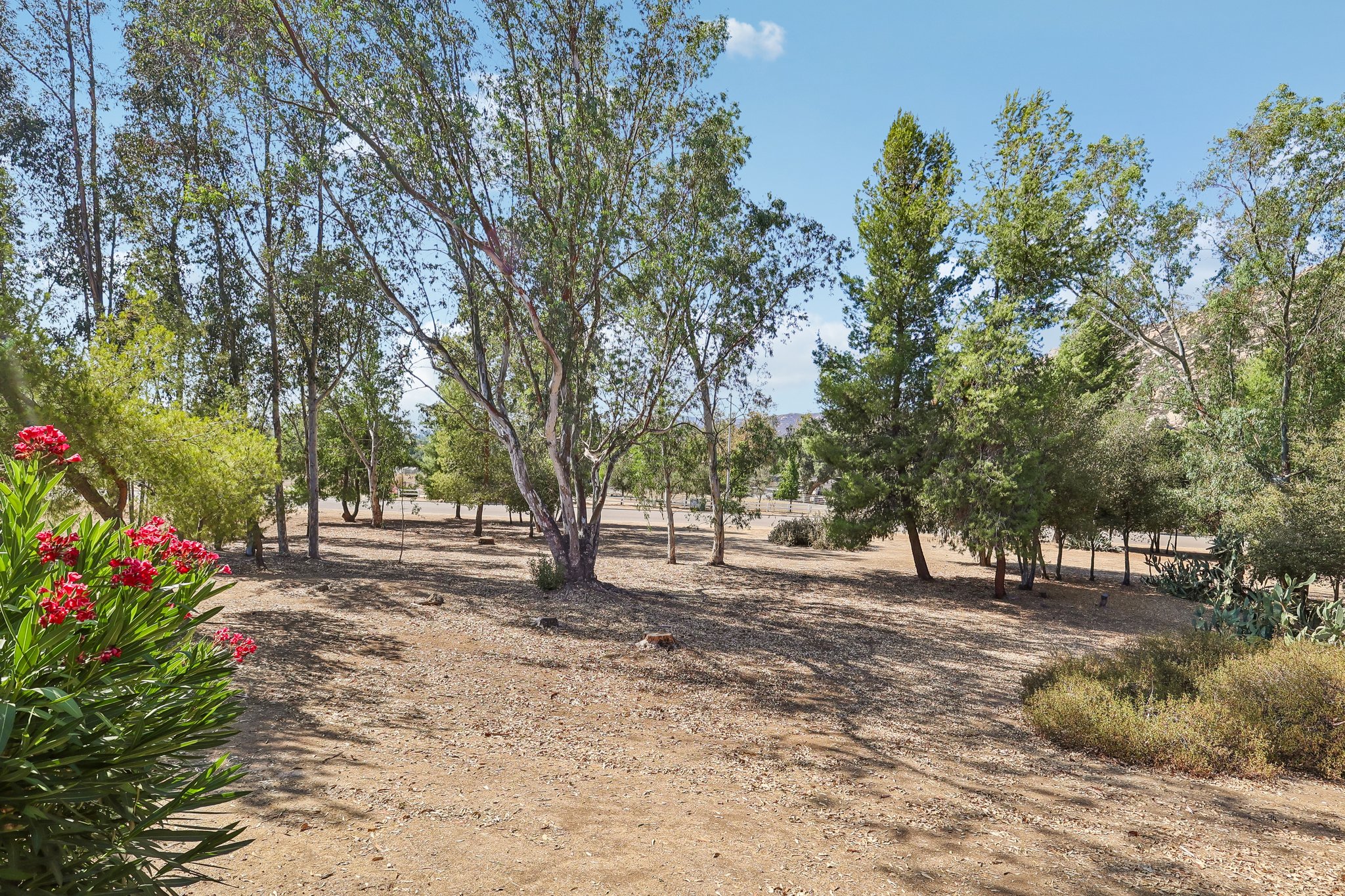 Davis Cup Ln-S0508-045.jpg
