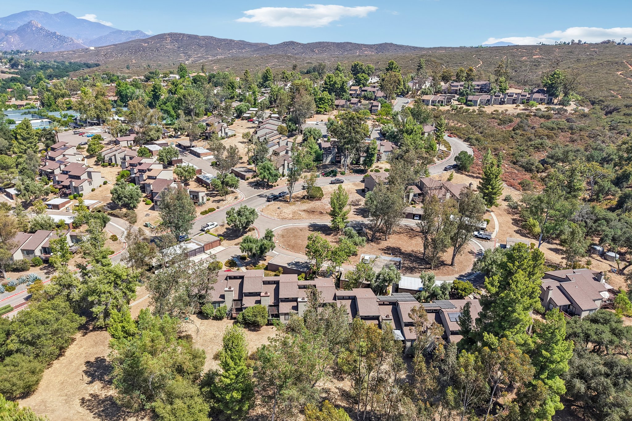 Davis Cup Ln-S0508-056.jpg
