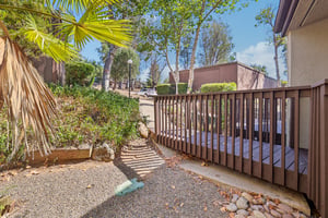 Davis Cup Ln-S0508-004.jpg