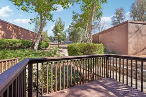 Davis Cup Ln-S0508-040.jpg