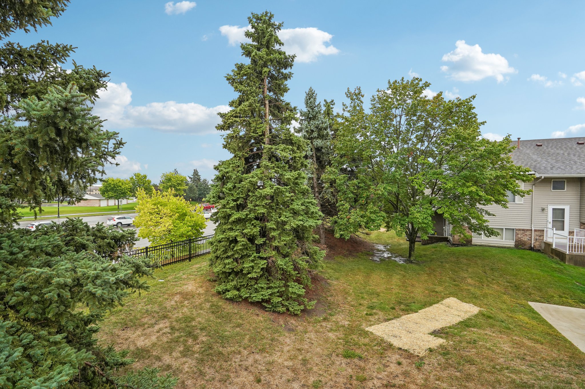 Gooseberry Way-S1909-046.jpg