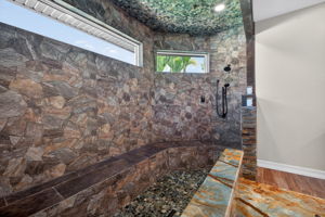 Primary Bathroom Shower
