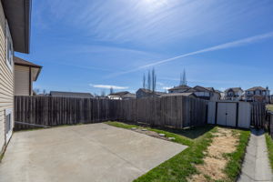  Photo 41